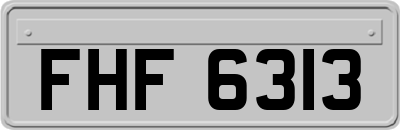 FHF6313