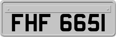 FHF6651