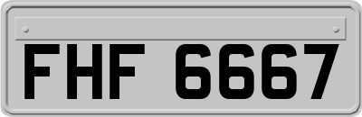 FHF6667