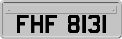 FHF8131