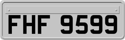 FHF9599