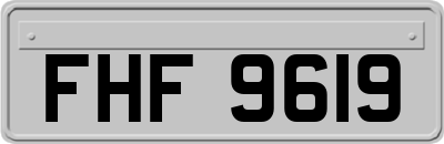 FHF9619