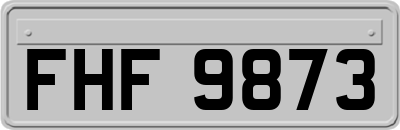 FHF9873