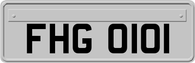 FHG0101