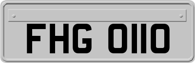 FHG0110