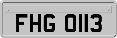 FHG0113