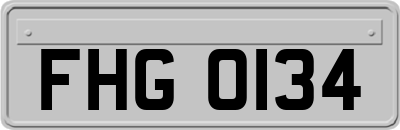 FHG0134