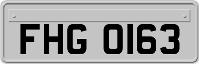 FHG0163