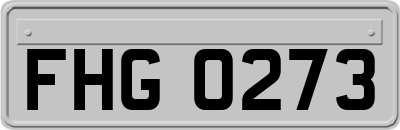 FHG0273