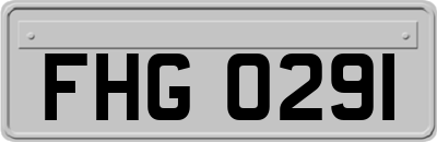 FHG0291