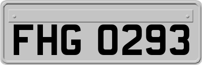 FHG0293