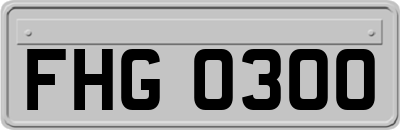 FHG0300
