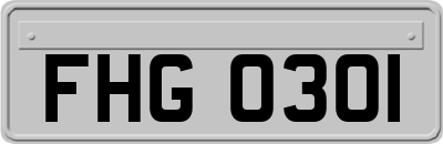FHG0301