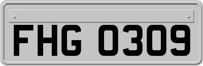 FHG0309