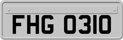 FHG0310
