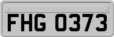 FHG0373