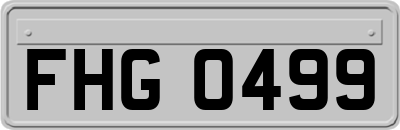 FHG0499