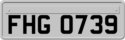 FHG0739