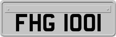 FHG1001