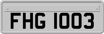 FHG1003
