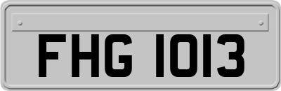 FHG1013