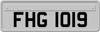 FHG1019