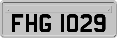 FHG1029
