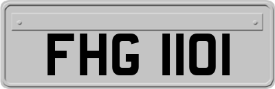 FHG1101