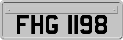 FHG1198