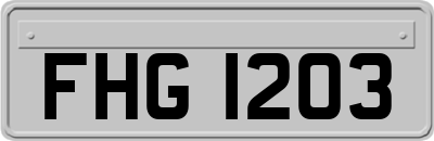 FHG1203