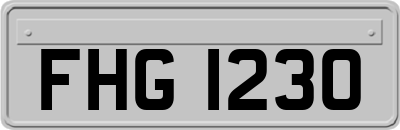 FHG1230