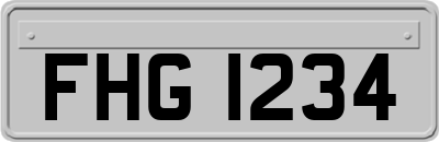 FHG1234