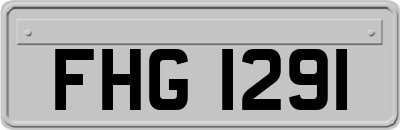 FHG1291