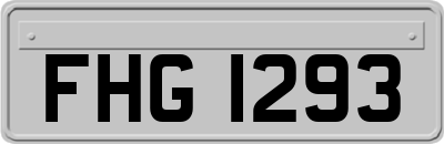 FHG1293