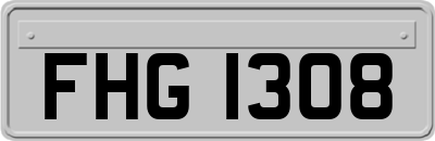 FHG1308