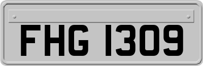 FHG1309
