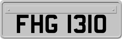 FHG1310