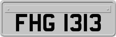 FHG1313