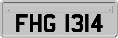 FHG1314