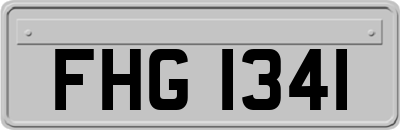FHG1341