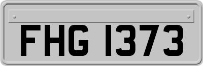 FHG1373