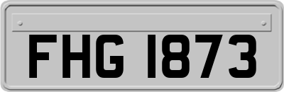 FHG1873