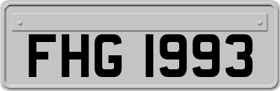 FHG1993