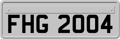 FHG2004