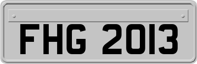 FHG2013