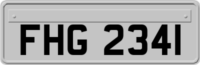 FHG2341