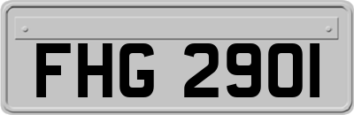 FHG2901