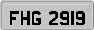 FHG2919