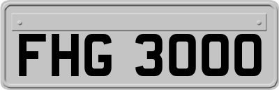 FHG3000
