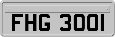 FHG3001